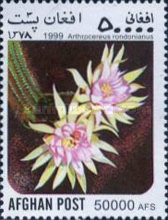 [Flora - Cacti, type ATM]