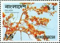 [Flowers, type BW]