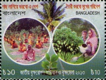 [National Tree Plantation Campaign, type ANU]
