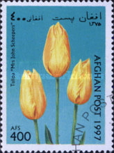 [Flowers - Tulips, type ANQ]