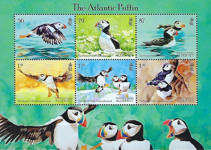 [The Atlantic Puffin, type ]