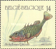 [Fish, type BOO]