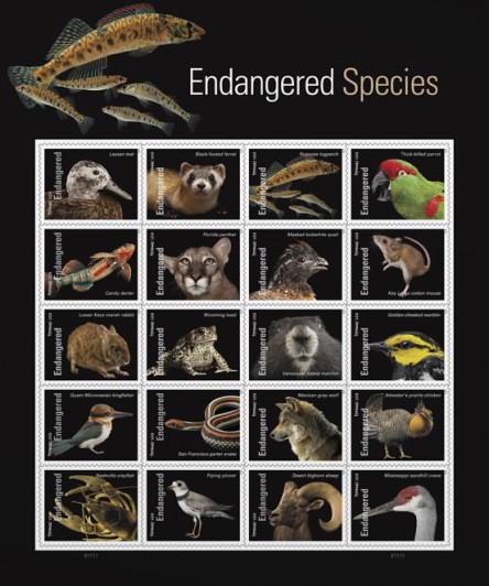 [Endangered Species, type ]