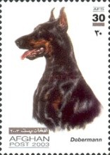[Dogs, type AWT]