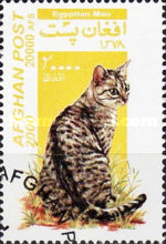 [Cats, type AUU]