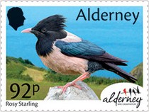 [Bird Obersvatories Across the British Isles, type AFI]