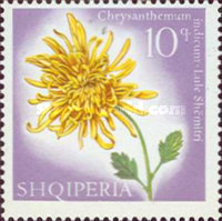 [Flowers, type ZO]