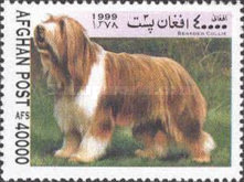 [Dogs, type ASJ]