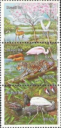 [Mato Grosso Flood Plain, type ]