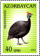[Fauna - Birds, type AHC]