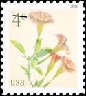 [Definitive - Flowers - Angel's Trumpet, type KHR]
