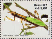 [The 50th Anniversary of the Brazilian Entomology Society, type CFD]
