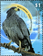 [Endangered Wildlife, type DIO]