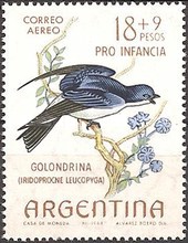 [Child Welfare - Birds, type WF]