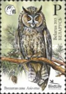 [Bird of the Year - Long-Eared Owl, type ALA]