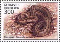 [Reptiles, type PQ]