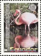 [Ibero-American Tourism and the Environment Conference - Galapagos Islands Fauna, type CUL]