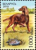 [Hunting Dogs, type ADB]