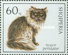 [Cats, type YSS]