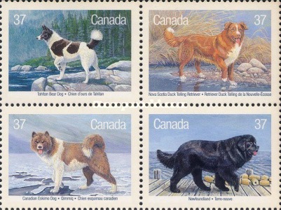 [Canadian Dogs, type ]