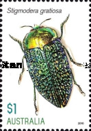 [Insects - Jewel Beetles, type EIB]