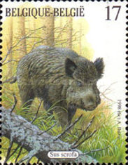 [Fauna - Mammals, type CCA]