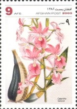 [Flowers - Orchids, type AWB]