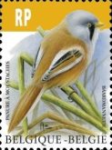 [Birds - Bearded Reedling, type FAY]