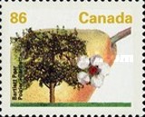 [Fruit and Nut Trees, type AVF]