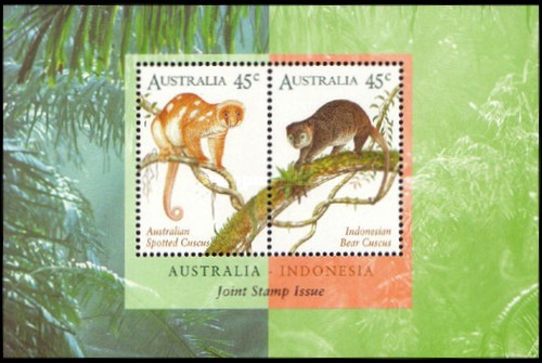 [Cuscus, type ]
