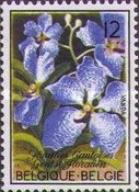 [Orchids, type BGI]