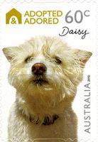 [Adopted and Adored (Dogs) - Self-Adhesive, type DKA1]