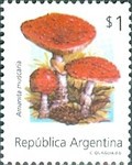 [Fungi, type BVH]