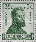 [The struggle against Tuberculosis, type IS]