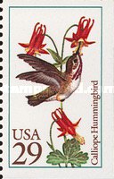 [Hummingbirds, type BZL]