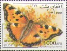 [Fauna - Butterflies, type AQT]