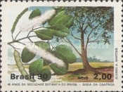 [The 40th Anniversary of the Brazilian Botanical Society, type CJT]