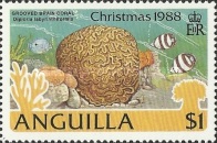 [Christmas - Marine Snails, type ACU]