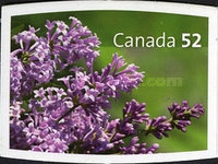 [Flowers - Lilacs - Self-Adhesive, type CMX]