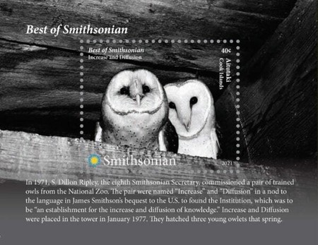 [The Best of the Smithsonian - Owls, type ]