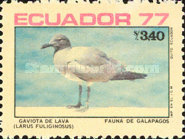 [Birds of the Galapagos Islands, type BLX]