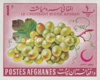 [Afghan Red Crescent Society, type JD3]