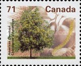 [Fruit and Nut Trees, type BBF]