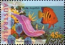 [Marine Life, type AXS]