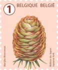[Definitives - Tree Fruits and Nuts, type FHK]