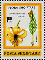 [Albanian Flowering Plants, type BOP]