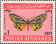 [Fauna - Butterflies, type QH]