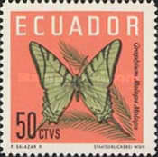 [Butterflies, type AOC]
