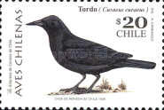 [Birds, type BIP]
