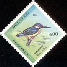 [Rare Birds of Belarus, type AG2]